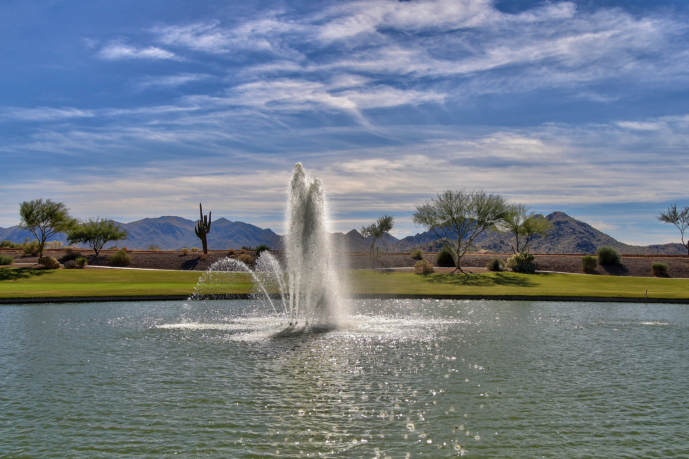 Sun City Festival homes for sale Sun City Festival